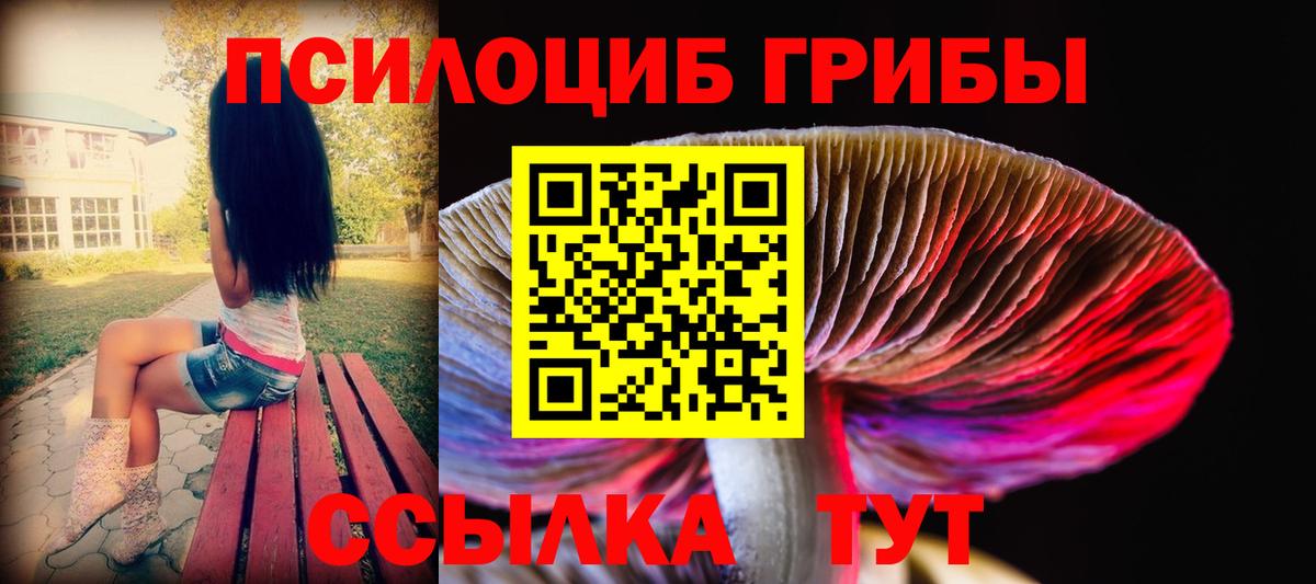 Псилоцибиновые грибы мицелий  закладка  Волжск  Вход с VPN 