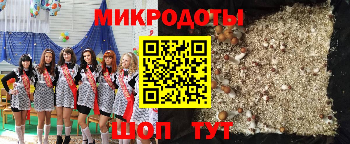 Псилоцибиновые грибы Cubensis Волжск